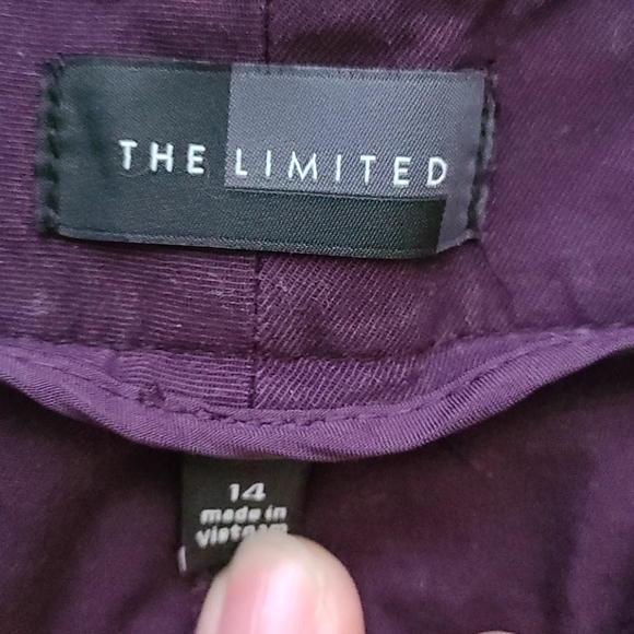 The Limited purple shorts - Picture 2 of 5